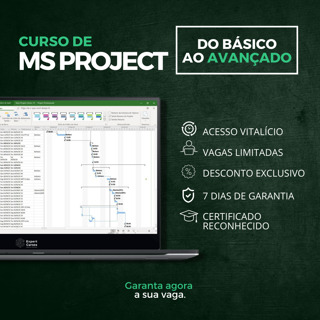 Conheça o curso de MS Project